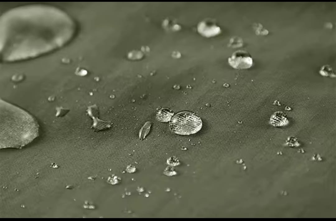 Chaqueta Premium Cuello Alto